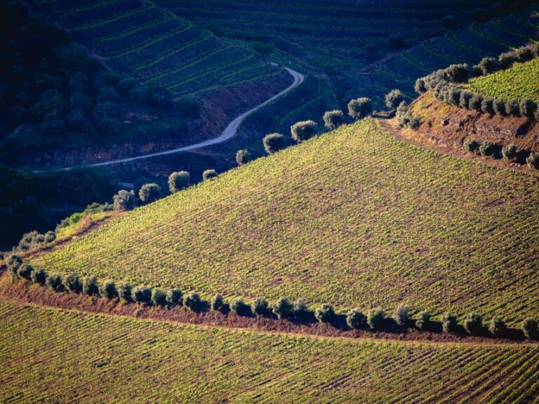 Douro Valley: 1 Day Landscape Photo Tour