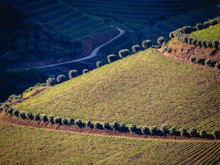 Douro Valley: 1 Day Landscape Photo Tour - Tour Details