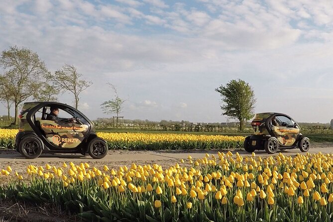 Drive It Yourself Electric Tulip And Flower Fields Gps Audio Tour Overview Of The Tour