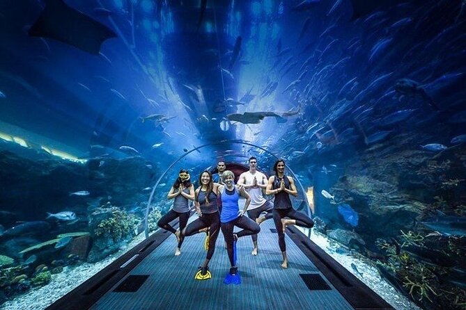 Dubai Aquarium With Optional Glass Bottom Boat Tour & Transfers