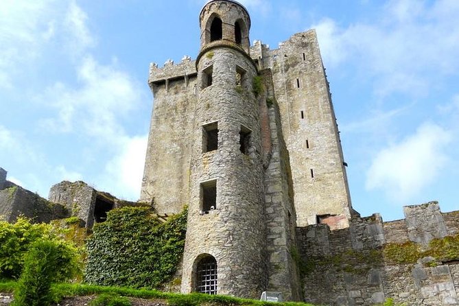 Dublin to Cork, Blarney Castle, Cobh Cathedral by Train and Coach