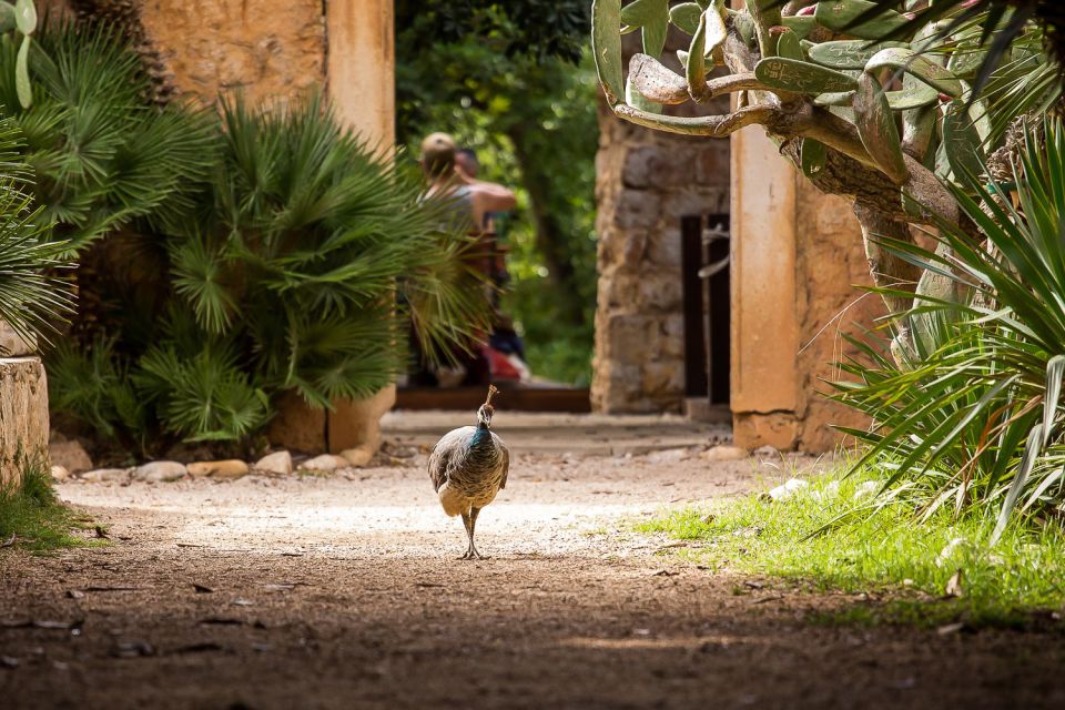 Dubrovnik: Game of Thrones&Lokrum Island Walking Tour - Tour Overview and Details