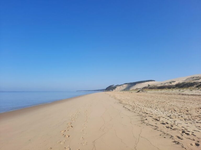 Dune Of Pilat And Oyster Tasting! What Else? Tour Duration And Language