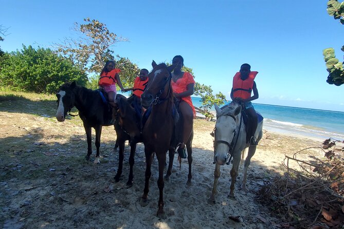 Dunns River Falls Climb, Zipline And Horseback Riding Private Tour Inclusions And Transportation