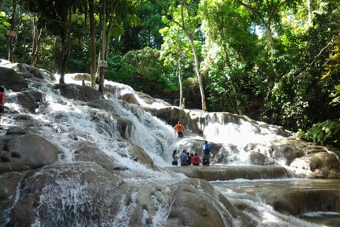 Dunns River Falls Excursion From Montego Bay Overview Of Dunns River Falls