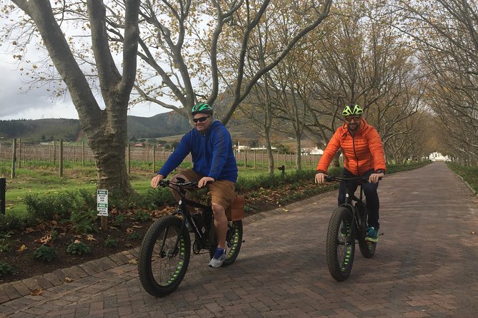 E Bike Wine Tour Stellenbosch (half Day) Tour Overview