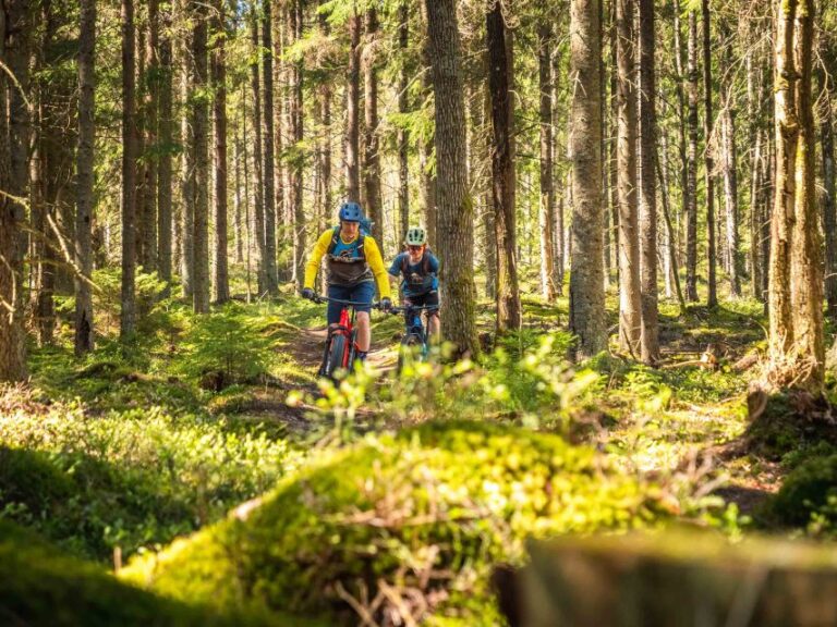 E Fatbike Experience In Small Groups Activity Description