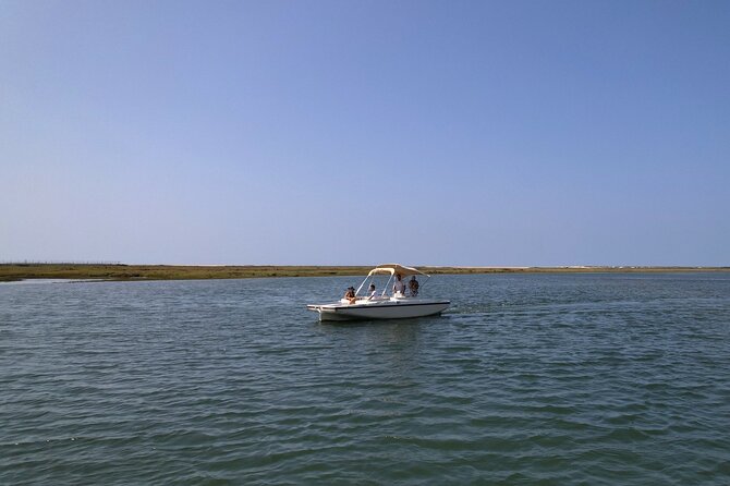 Eco Boat Tour In The Ria Formosa Lagoon From Faro Overview Of The Eco Friendly Tour