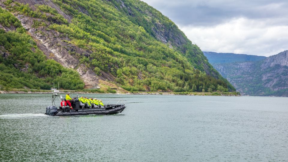 Eidfjord: 1-Hour Fjord RIB Tour - Tour Details