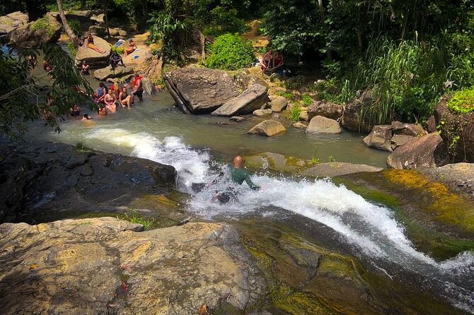 El Yunque Hike, Waterslide, Beach & Cuisine With Transport Tour Highlights And Inclusions