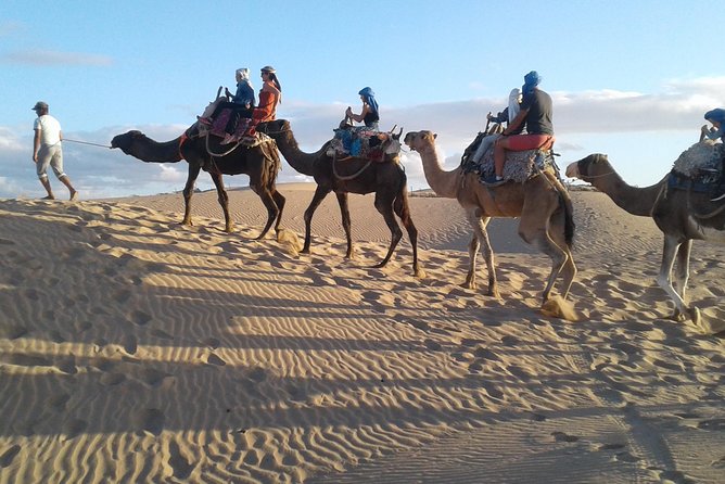 Essaouira: An Unforgettable 2 Hour Ride On A Camel Exploring The Enchanting Essaouira