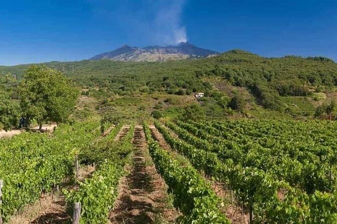 Etna Panoramic Private Tour+Wine Taste&Food Combination(Amazing)