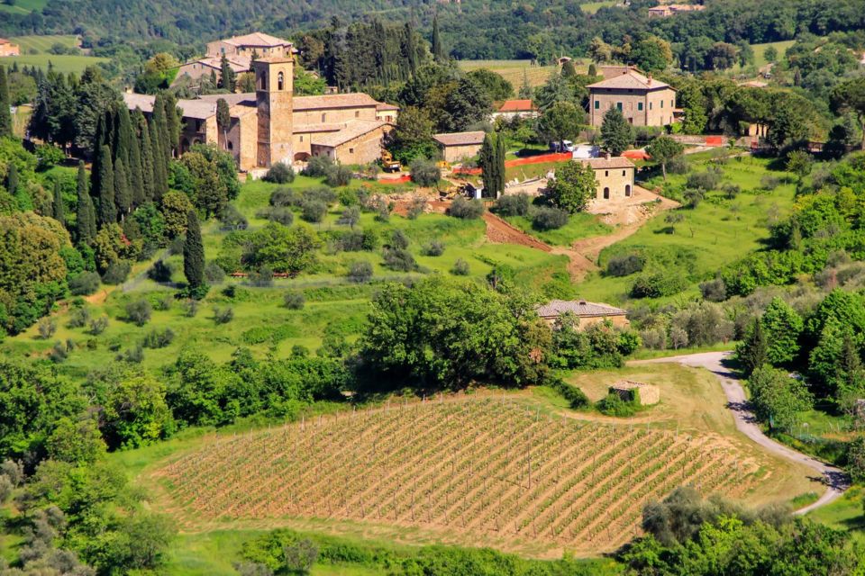 Exclusive Brunello Wine Tour a Private Luxury Experience - Castiglion Del Bosco Winery Tour