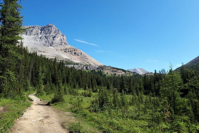 Exclusive Skoki Backcountry Guided Hiking In Lake Louise With Van Shuttle Overview Of The Hike