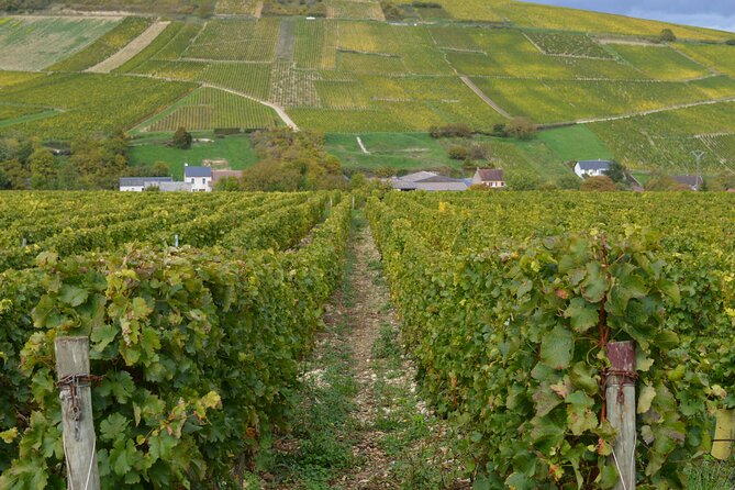 Exclusive Wine Tour In Sancerre & Pouilly Fumé From Paris Tour Overview