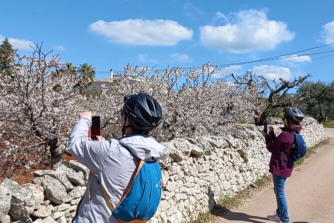 Excursion Electric Bike Villages Of Apulia Discovering Picturesque Countryside