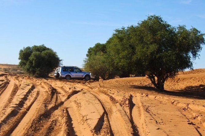 Excursion to the Little Sahara, Visit Tiznit, Tifnit, & Massa. - Overview of the Excursion