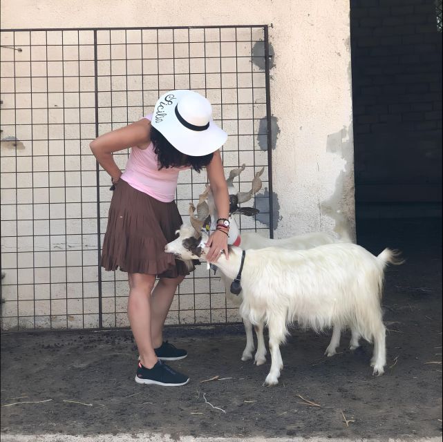 Experience With Girgentan Goats in Agrigento - Sicilian Shepherds Craft