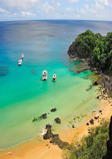 Explore Fernando De Noronha: 7-Hour Ilhatour - Tour Overview