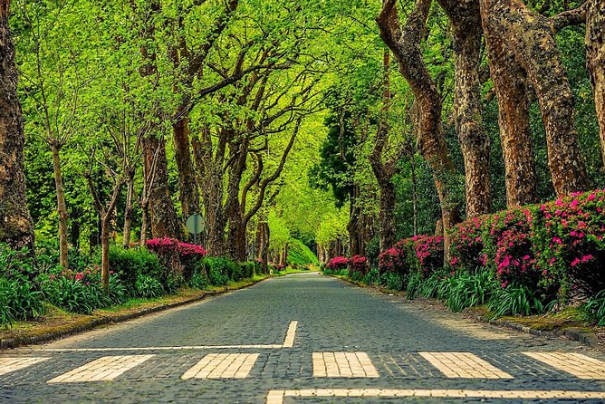 Explore Furnas By Van Full Day Tour With Lunch And Thermal Baths Itinerary Overview