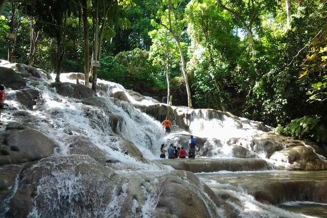 Falmouth Shore Excursion Dunns River Falls Transportation And Pickup Details