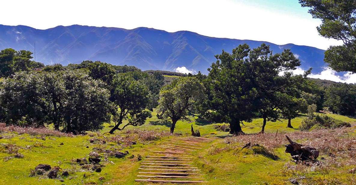 Fanal / Whistlers - Levada Walk - Overview of the Walk