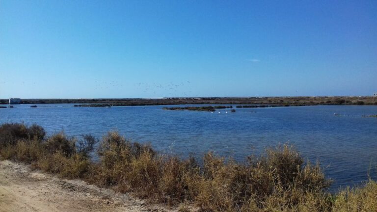 Faro Bike Tour Through The Beautiful Ria Formosa Tour Overview