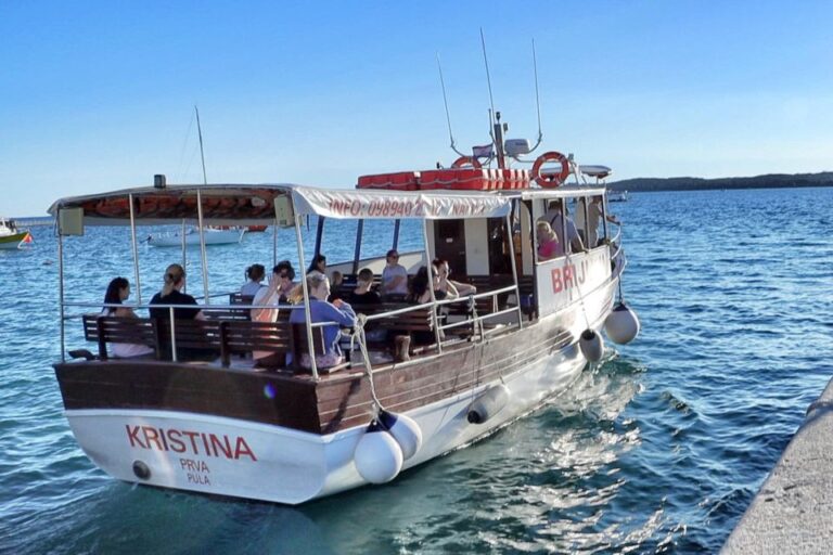 Fazana: Guided Dolphin Watching Sightseeing Cruise At Sunset Tour Overview