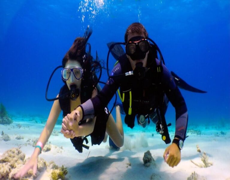 Fethiye: 2 Guided Scuba Dives With Lunch And Hotel Transfers Activity Details