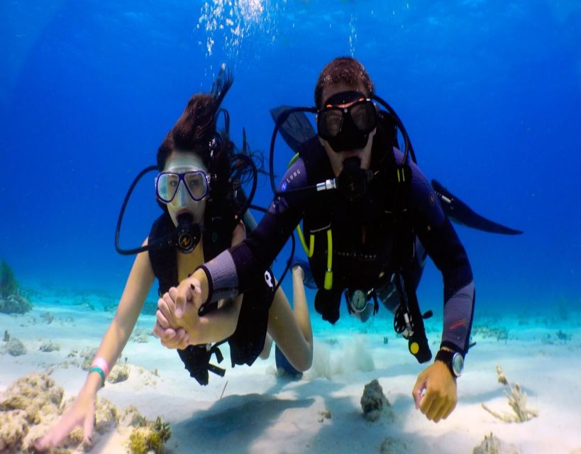 Fethiye: 2 Guided Scuba Dives With Lunch and Hotel Transfers - Activity Details