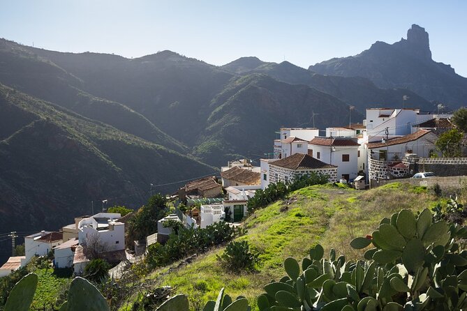 Firgas, Tejeda, Guayadeque - VIP Tour Gran Canaria - Village of Agüimes