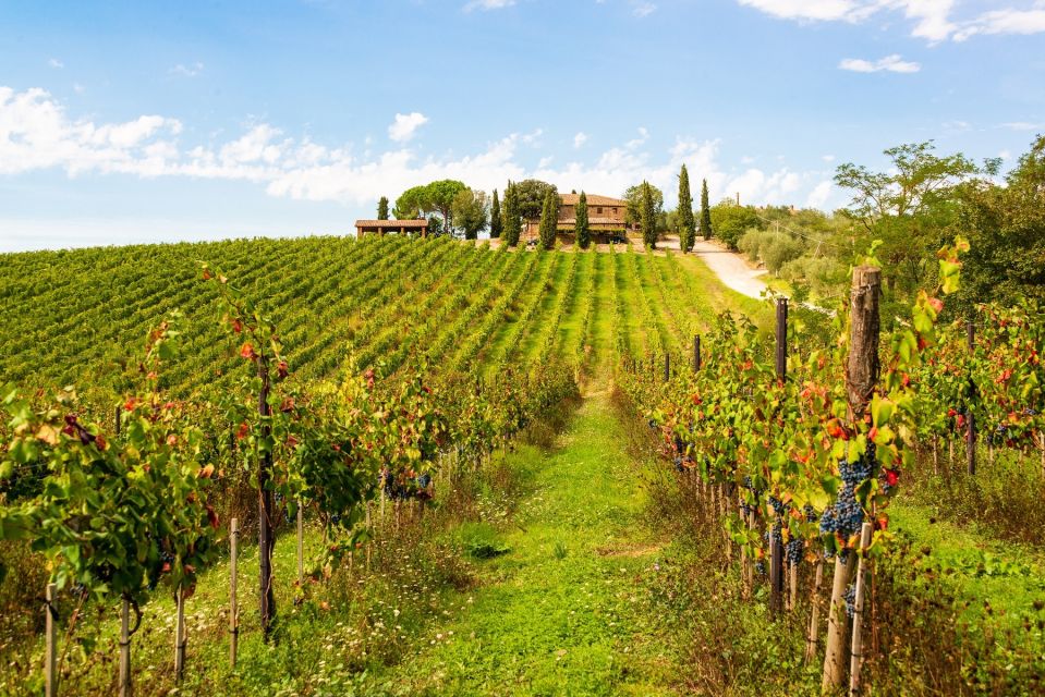 Florence: Private Full Day Tour to Chianti Wine Region - Tour Details