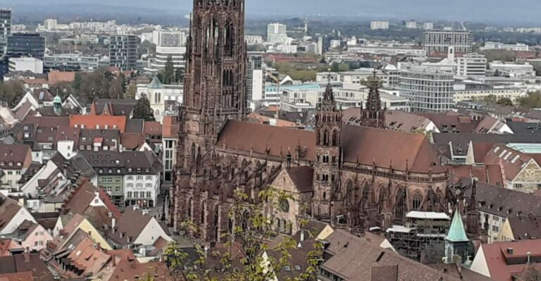 Freiburg: Walking And Strolling The Historic Center Tour Overview