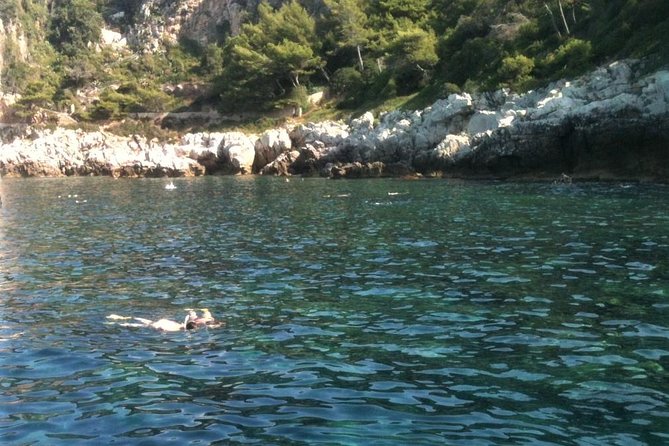 French Riviera Villefranche Bay Snorkeling Tour From Nice Cruise From Nice To Villefranche Bay