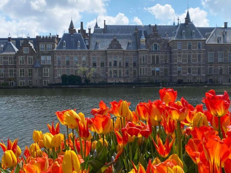 From Amsterdam: Guided Trip To Rotterdam, Delft & The Hague Trip Overview