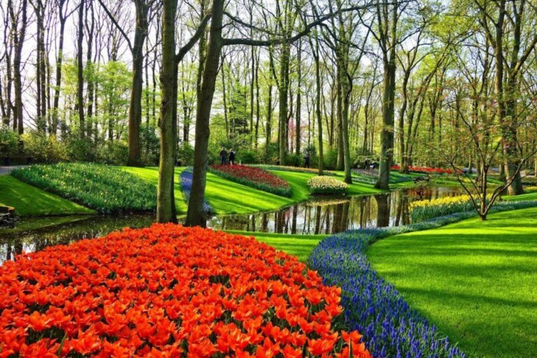 From Amsterdam: Private Windmills And Keukenhof Tour Tour Overview And Details