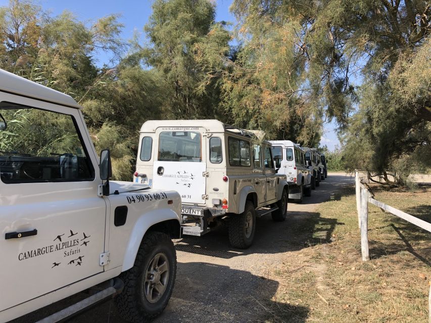 From Arles: Half-Day 4x4 Camargue Safari - Discover Camargue Natural Regional Park