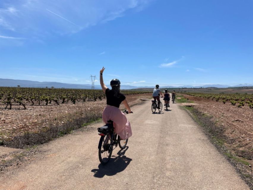 From Bilbao: La Rioja Wine Tour by E-Bike With Wine Tastings - Explore the Rioja Wine Region