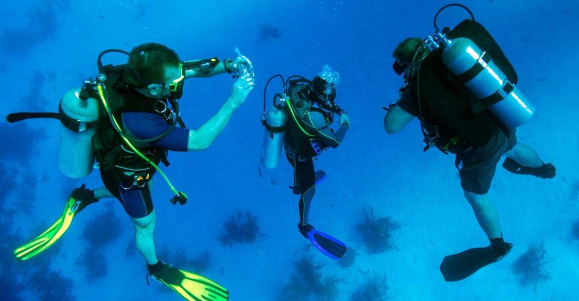 From Bodrum: Scuba Diving in the Aegean Sea - Overview of the Tour