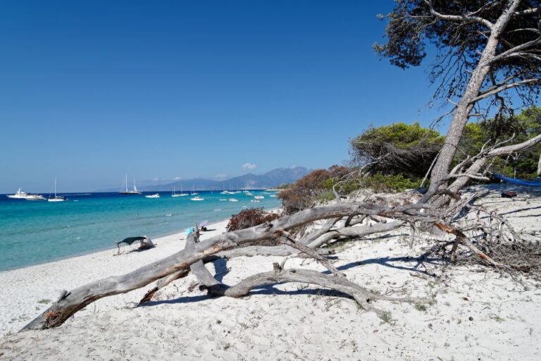 From Calvi: Agriate Guided Jeep Tour To Lotu And Saleccia Agriate Desert Crossing