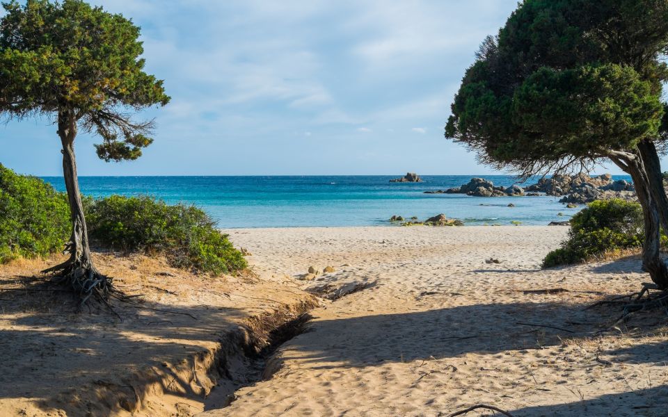 From Chia: Full-Day Tour of Sardinias Hidden Beaches - Tour Details