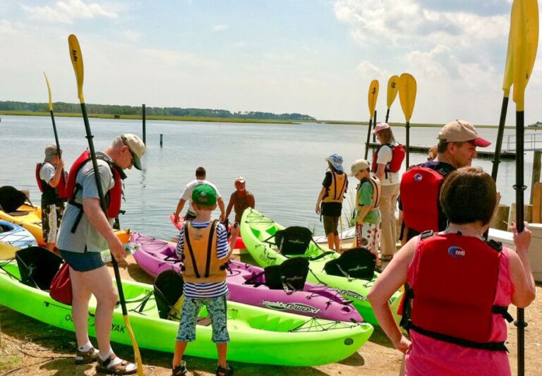 From Chincoteague: Guided Kayak Tour To Assateague Island Tour Overview And Pricing