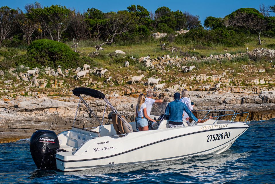 From Fažana: Private Boat Tour of Brijuni Islands - Tour Overview