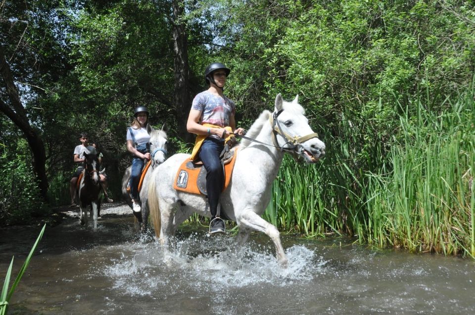 From Fethiye: Horse Riding Adventure - Activity Description