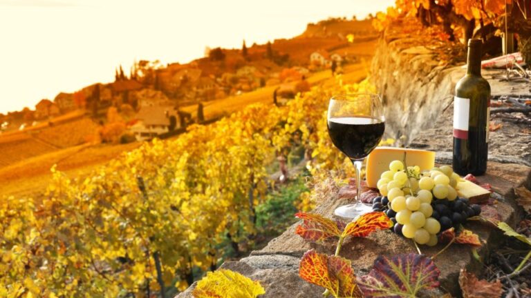 From Florence: Chianciano Evo Oil & Montepulciano Wine Tour Tour Description