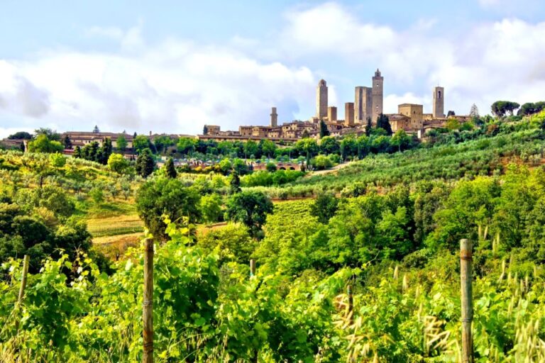 From Florence: Tuscany Day Trip With A Private Chauffeur Exploring The Historic Siena