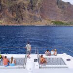 From Funchal: Ecological Catamaran Dolphin Whale Watching Experience Overview