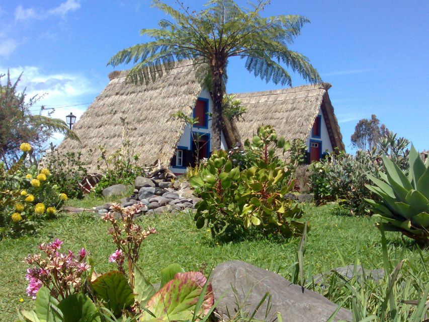 From Funchal: Laurel Forest A-framed Houses Tour - Tour Overview