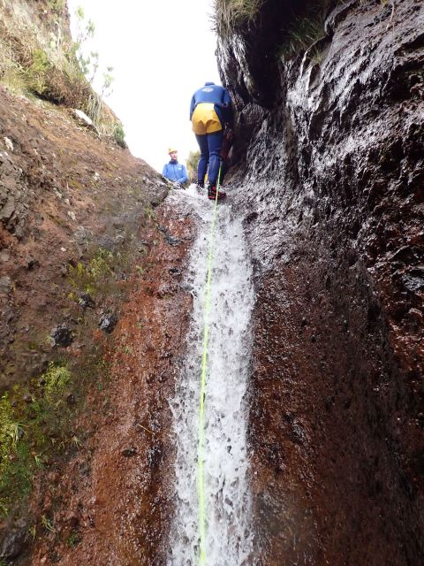 From Funchal: Madeira Island Canyoning for Beginners
