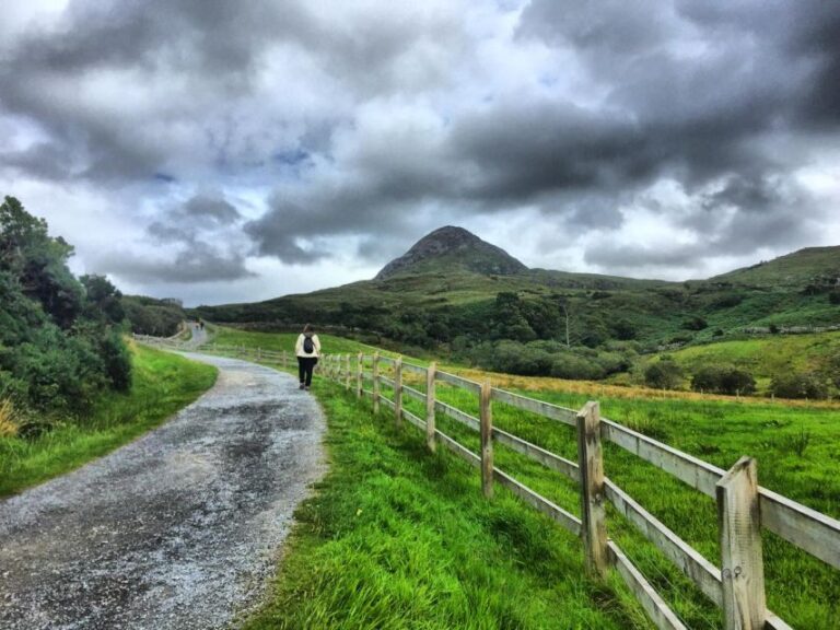 From Galway: Connemara And Connemara National Park Day Trip Tour Overview